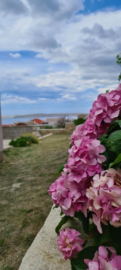 Apartmani Cesar Rtina Luaran gambar